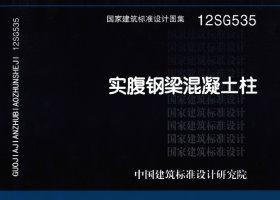 12SG535封面图