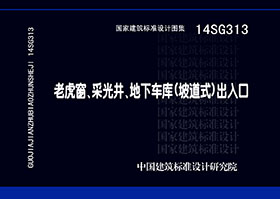 14SG313封面图