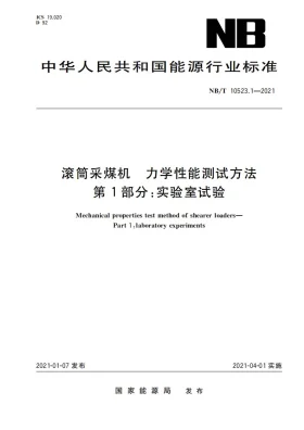 NB/T 10523.1-2021预览图