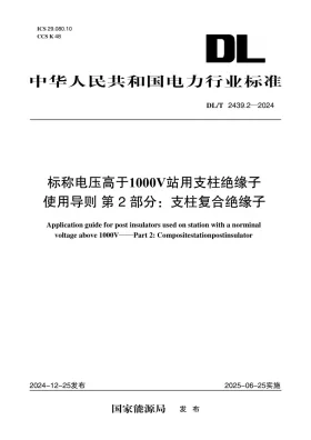 DL/T 2439.2-2024预览图