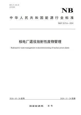 NB/T 20714-2024预览图