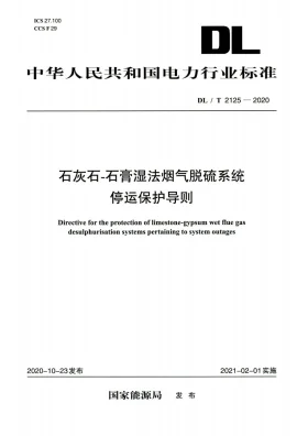 DL/T 2125-2020预览图