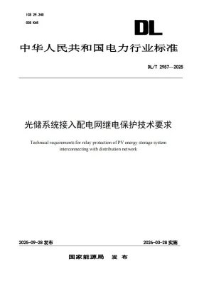 DL/T 2957-2025预览图