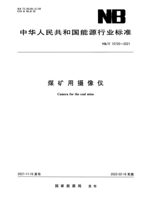 NB/T 10720-2021预览图