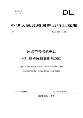 DL/T 5896-2025预览图