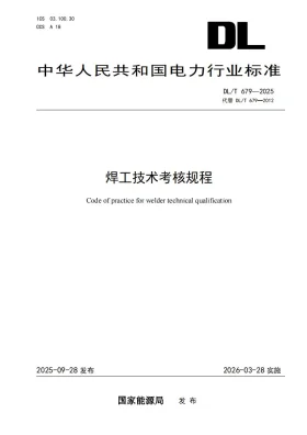 DL/T 679-2025预览图