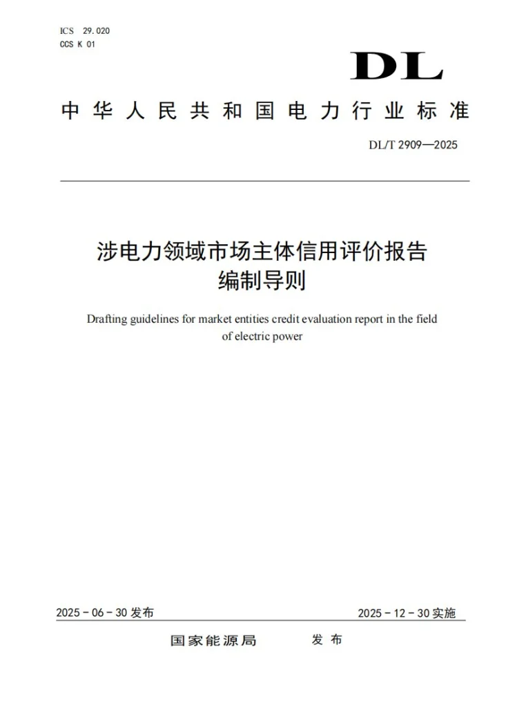 DL/T 2909-2025 涉电力领域市场主体信用评价报告编制导则第1页预览图