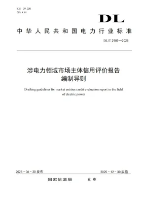 DL/T 2909-2025预览图