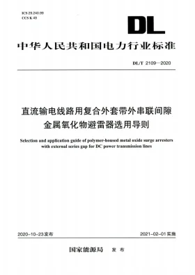 DL/T 2109-2020预览图