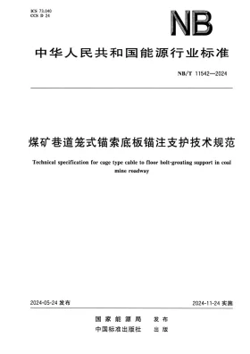 NB/T 11542-2024预览图