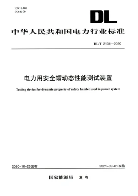 DL/T 2134-2020预览图