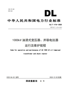 DL/T 1176-2025预览图