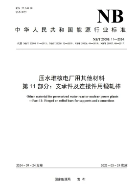 NB/T 20008.11-2024预览图