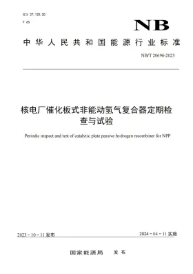 NB/T 20696-2023预览图