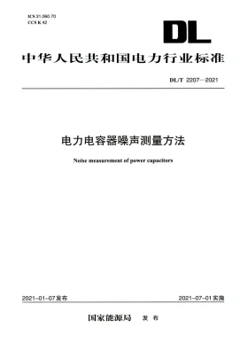 DL/T 2207-2021预览图