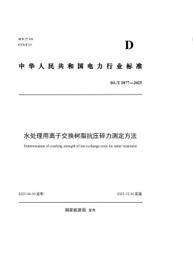 DL/T 2877-2025预览图