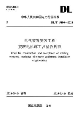 DL/T 5890-2024预览图
