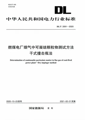 DL/T 2091-2020预览图