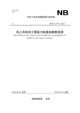 NB/T 11777-2025预览图
