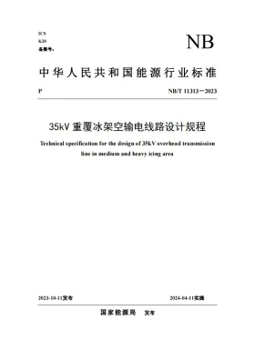 NB/T 11313-2023预览图