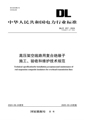 DL/T 257-2024预览图