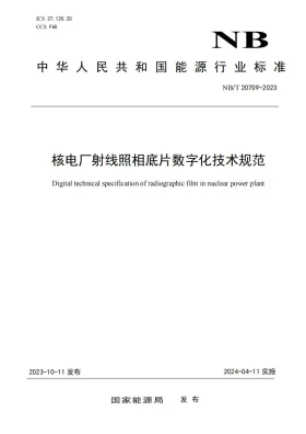 NB/T 20709-2023预览图