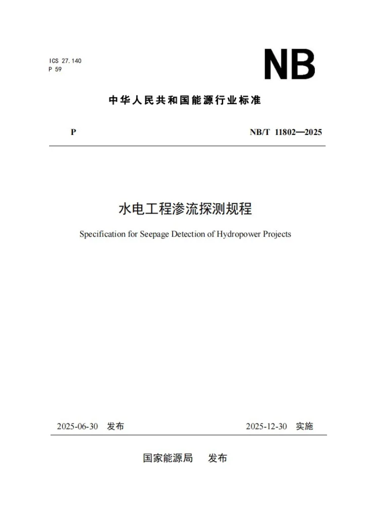 NB/T 11802-2025 水电工程渗流探测规程第1页预览图