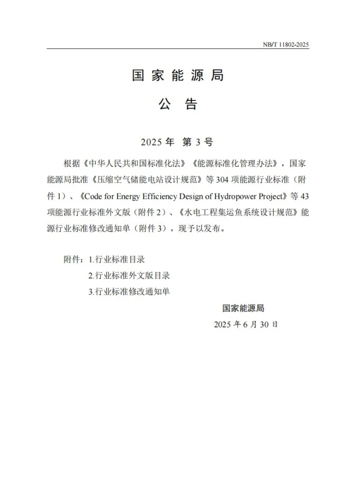 NB/T 11802-2025 水电工程渗流探测规程第3页预览图