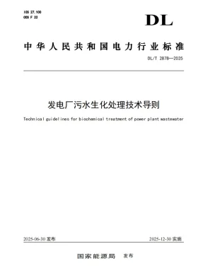 DL/T 2878-2025预览图