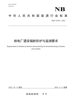 NB/T 20705-2023预览图