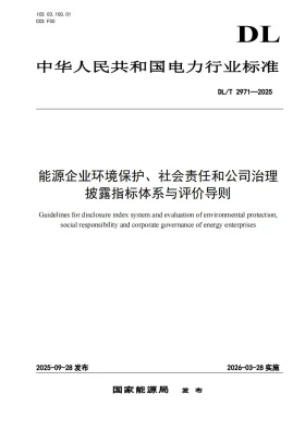 DL/T 2971-2025预览图