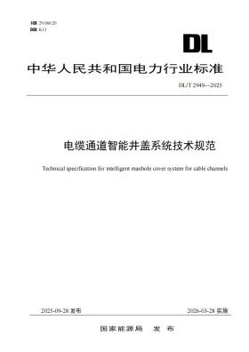 DL/T 2949-2025预览图