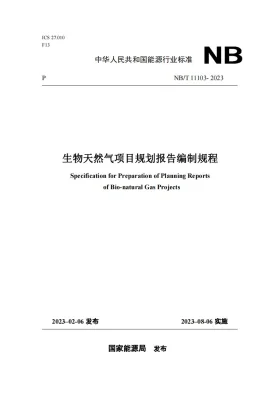 NB/T 11103-2023预览图