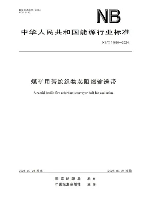 NB/T 11636-2024预览图