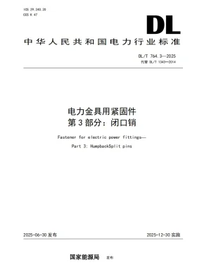 DL/T 764.3-2025预览图