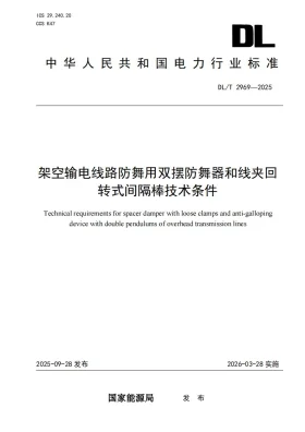 DL/T 2969-2025预览图