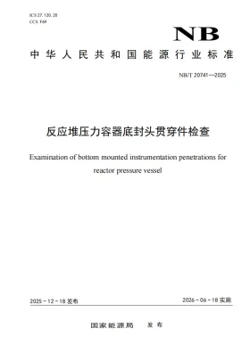 NB/T 20741-2025预览图