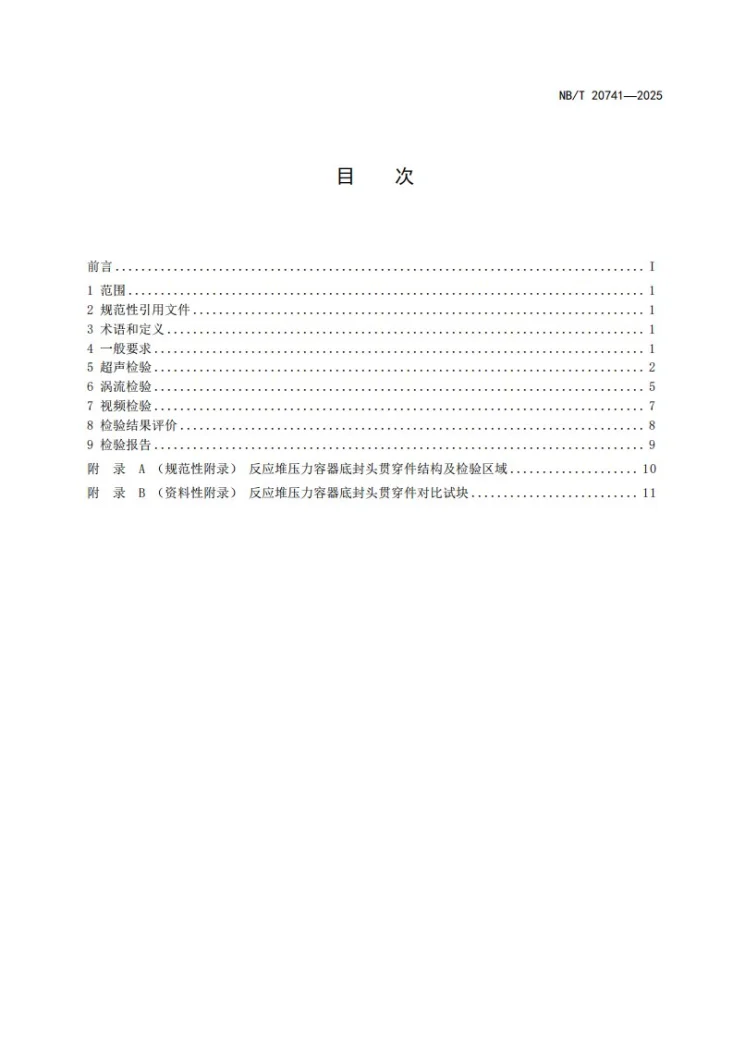 NB/T 20741-2025 反应堆压力容器底封头贯穿件检查第2页预览图