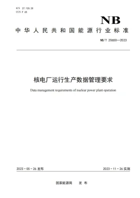 NB/T 20650-2023预览图