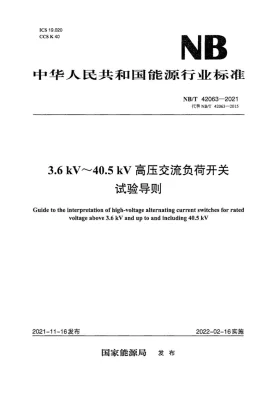 NB/T 42063-2021预览图