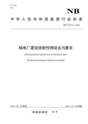NB/T 20715-2024预览图