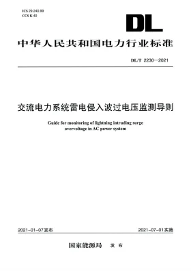 DL/T 2230-2021预览图