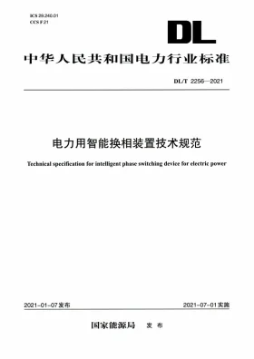 DL/T 2256-2021预览图