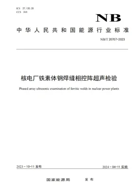 NB/T 20707-2023预览图