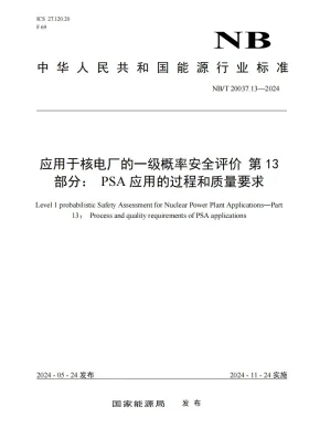 NB/T 20037.13-2024预览图