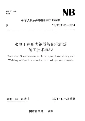 NB/T 11562-2024预览图