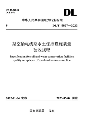 DL/T 5857-2022预览图