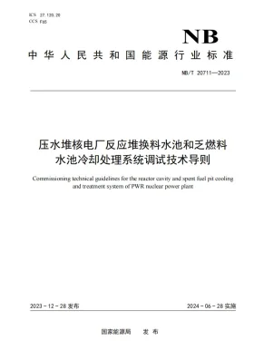 NB/T 20711-2023预览图