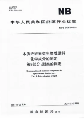 NB/T 34057.9-2020预览图
