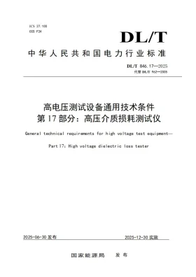 DL/T 846.17-2025预览图